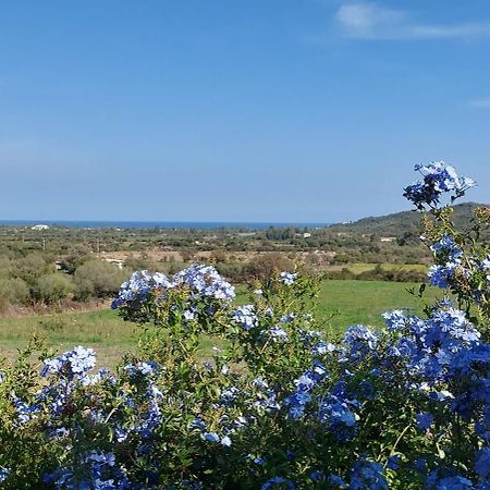 Vila La Casa Di Eve Budoni Exteriér fotografie