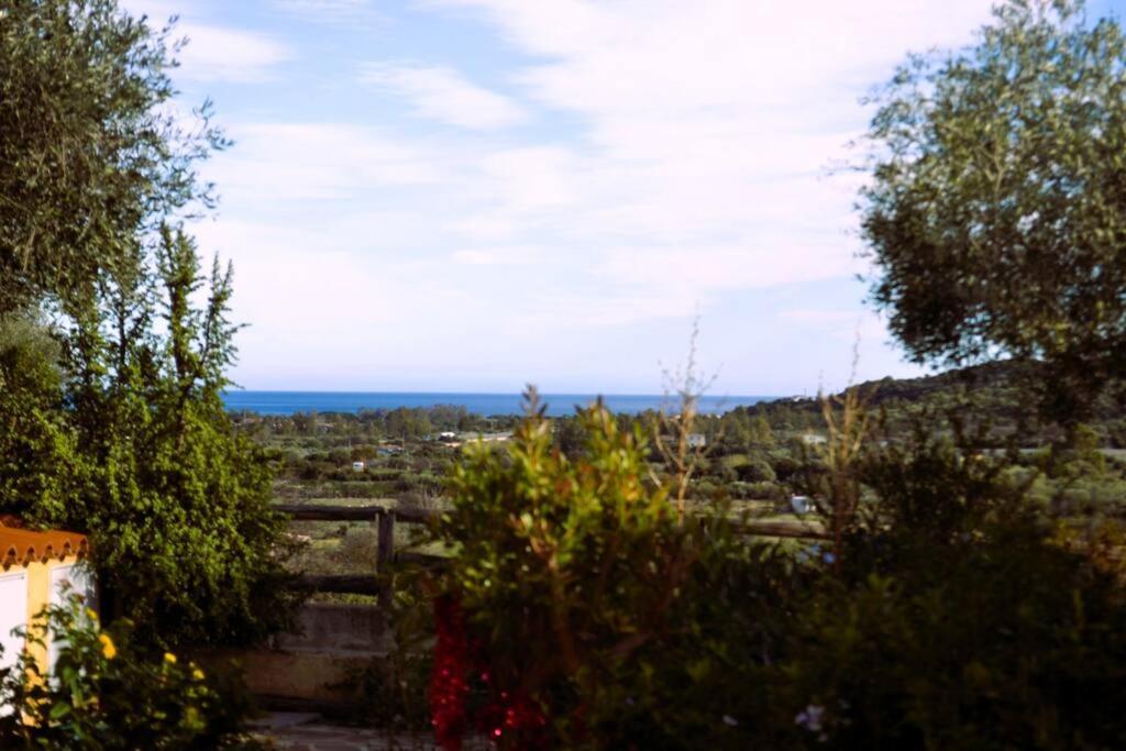 Vila La Casa Di Eve Budoni Exteriér fotografie