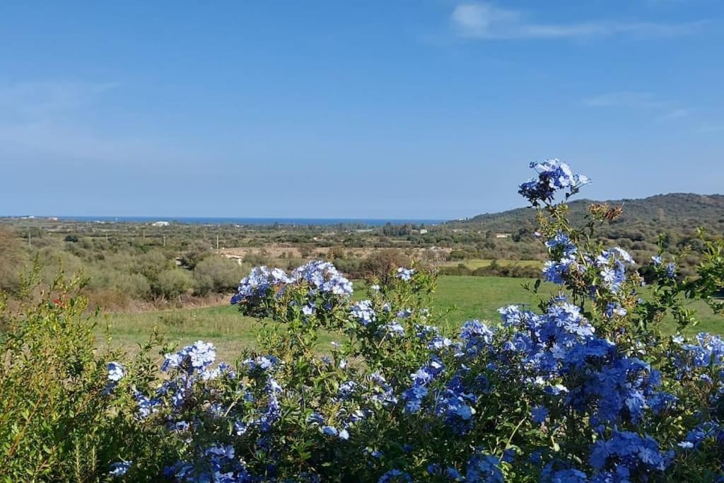 Vila La Casa Di Eve Budoni Exteriér fotografie