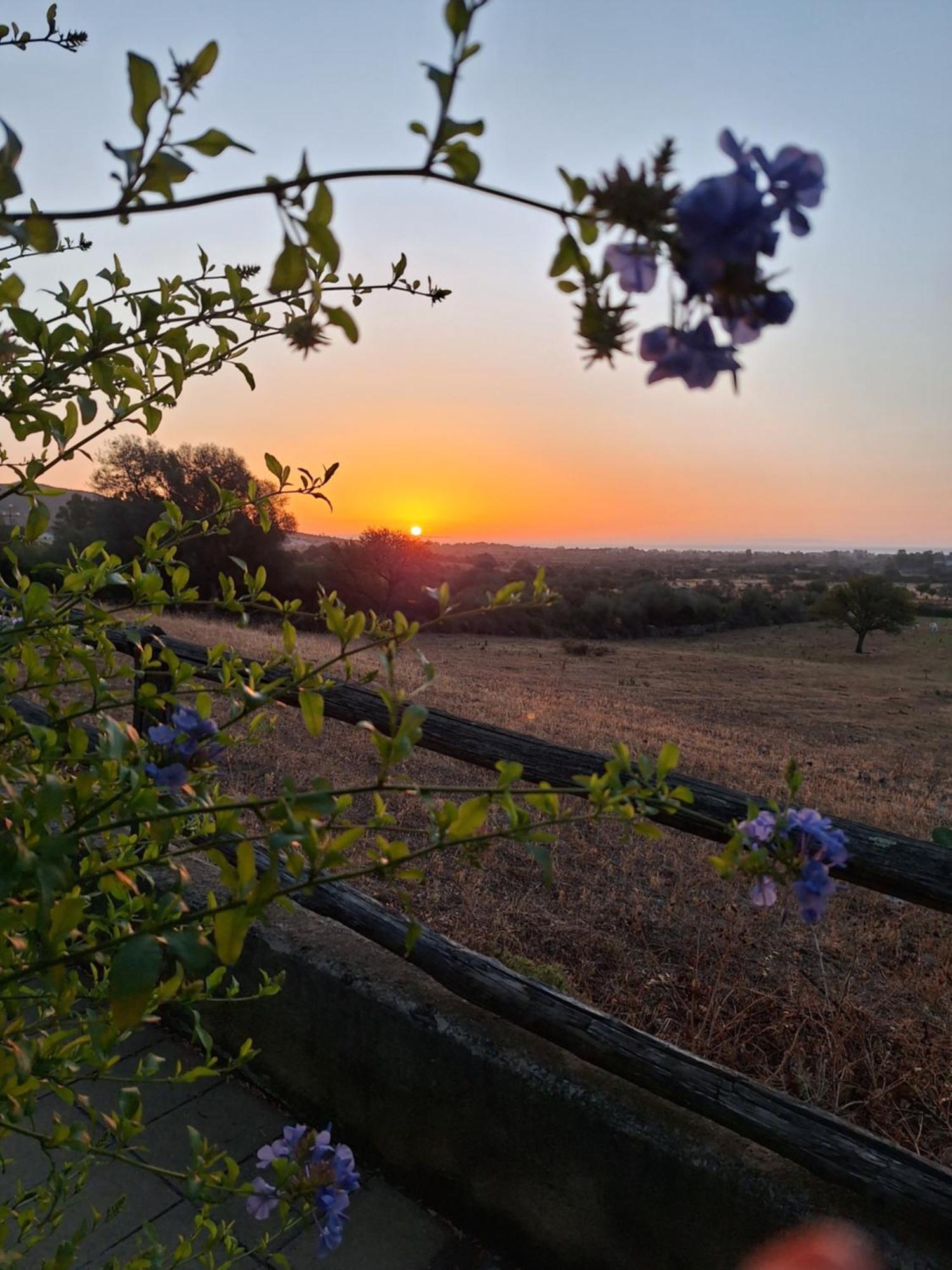 Vila La Casa Di Eve Budoni Exteriér fotografie