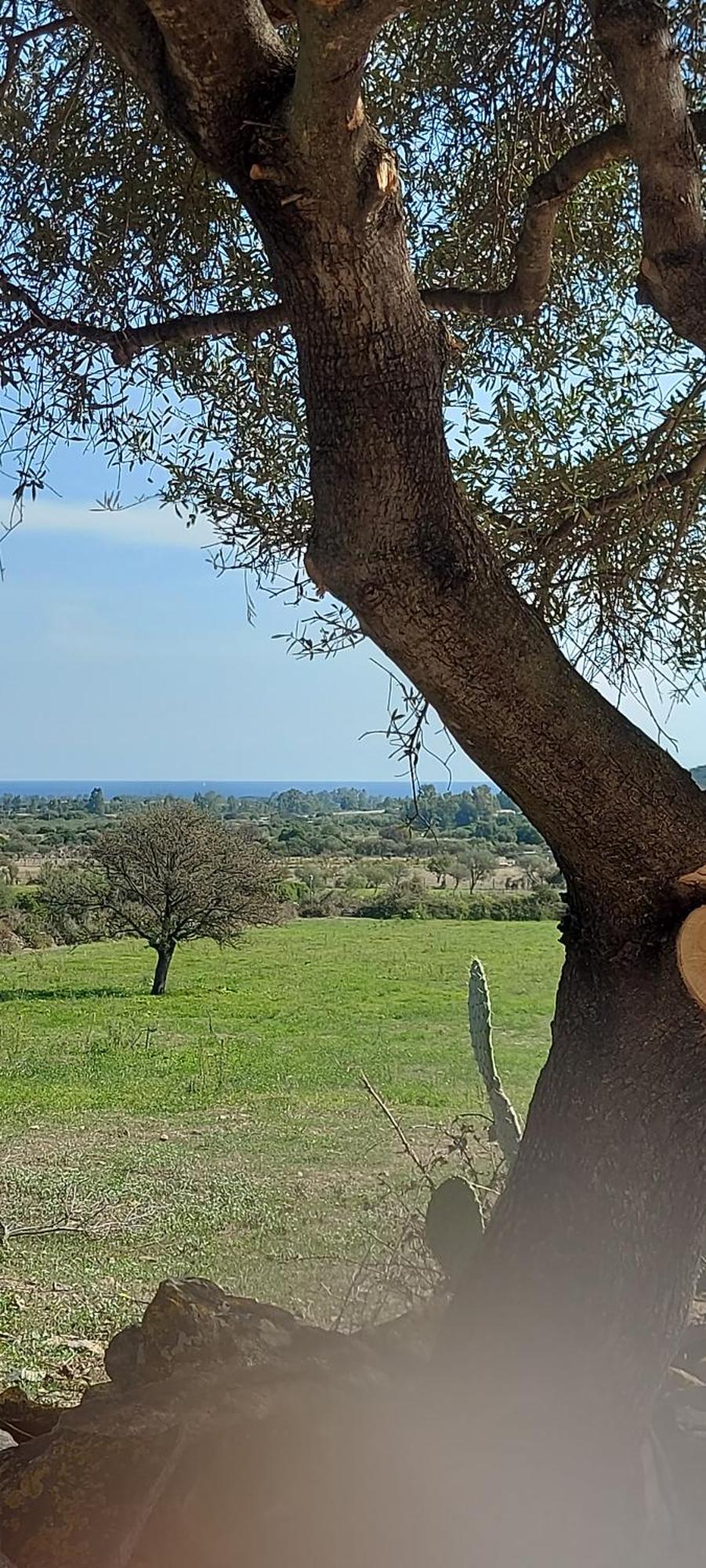 Vila La Casa Di Eve Budoni Exteriér fotografie