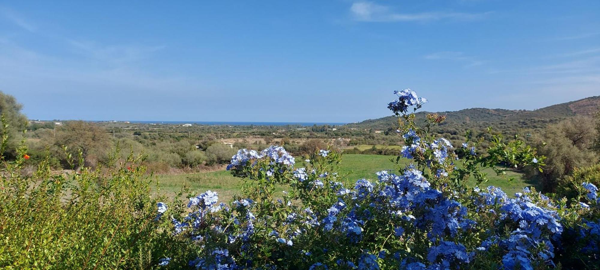 Vila La Casa Di Eve Budoni Exteriér fotografie